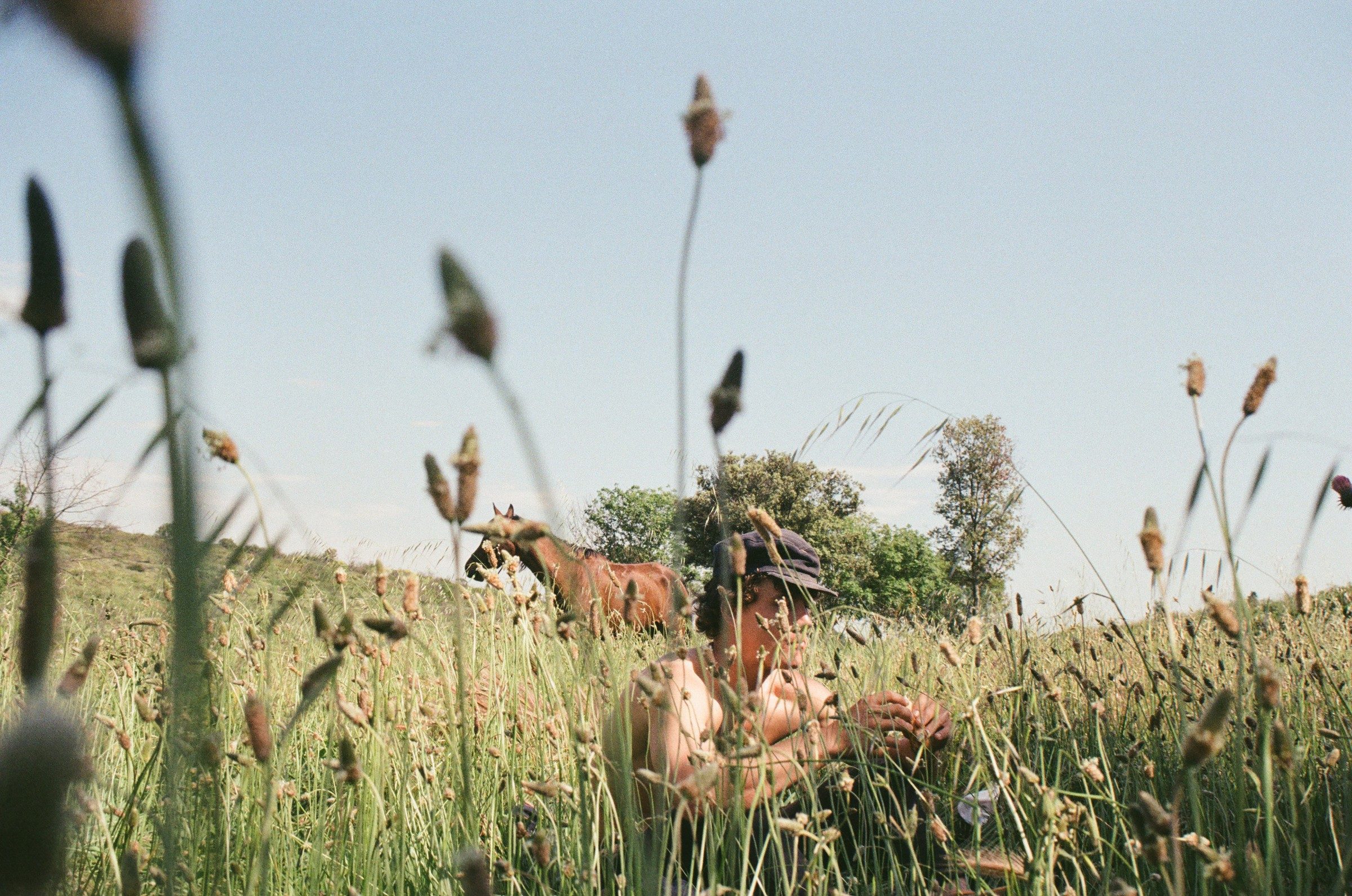 A horse and rider resting in long summer grass.
