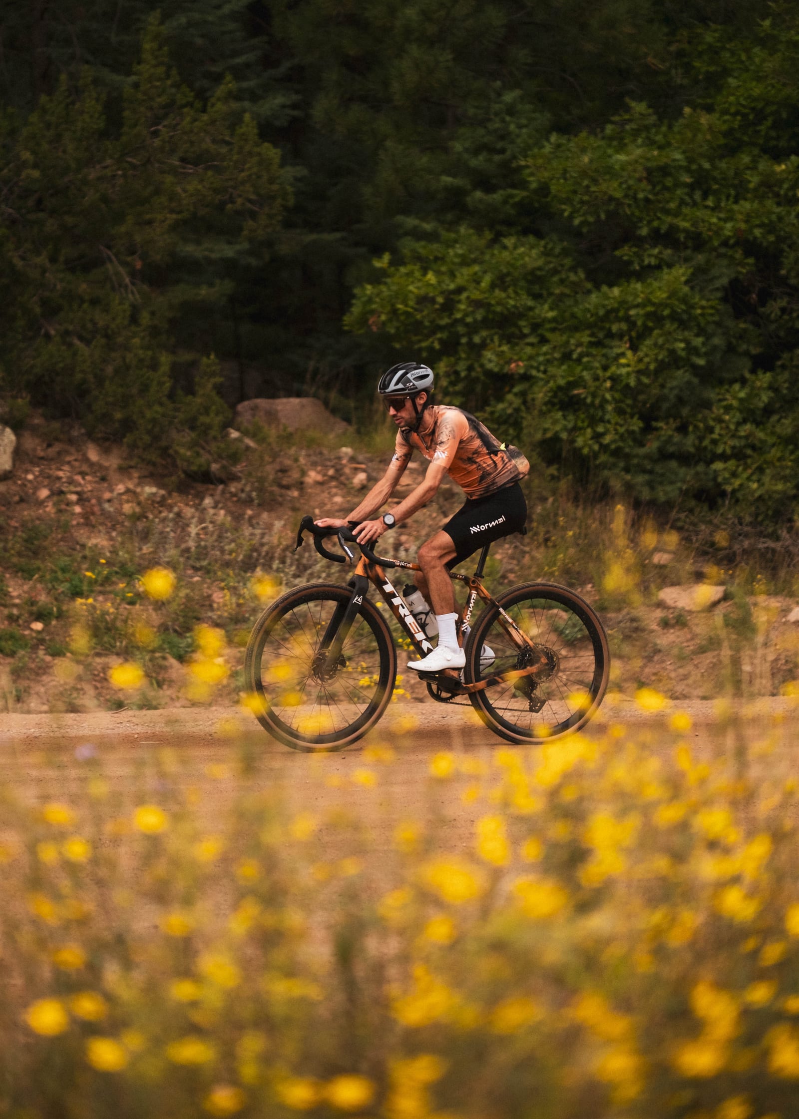 A transfer ride through a meadow of late-season wildflowers.