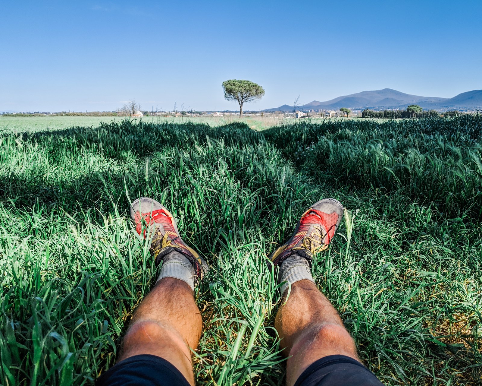 Day 1098 - Algeria, Tunisia and half of Italy on these shoes.