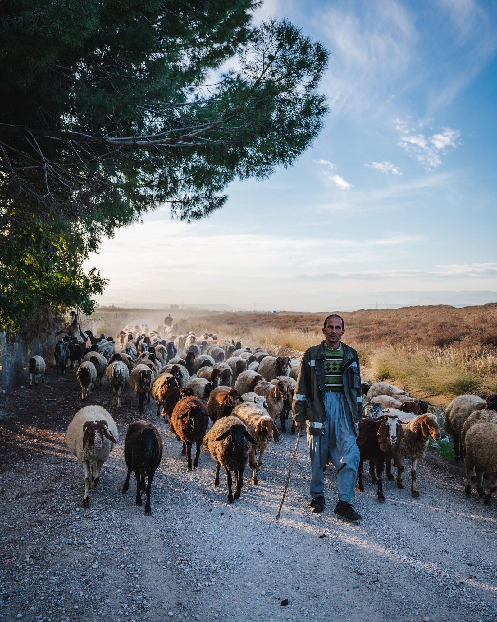 Day 1432 - I never have a problem connecting with shepherds. We usually run into each other on some remote road or hilltop that few others have reason to be on. Naturally, these encounters lend themselves to curiosity, and with nothing but time, shepherds are always eager for company. They're uncommonly humble and unrushed so even sitting in silence with them can feel like a full conversation. Much of my connection with shepherds probably stems from the similar lives we lead. For hours a day each of us are walking. And what's more, most shepherds spend all day with their dogs, so they're never afraid of or mean to Savannah (which goes a long way for me).